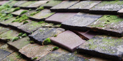 Pandy roof repair costs
